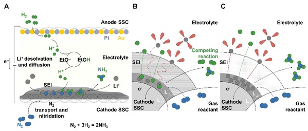 图. 高离子传输SEI促进高效Li-NRR。  (A）连续流电解槽Li-NRR示意图；  （B)和（C）具有低离子传输能力和高离子传输能力的SEI上氨合成示意图。