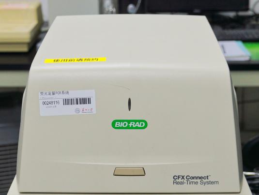 实时荧光定量PCR仪
